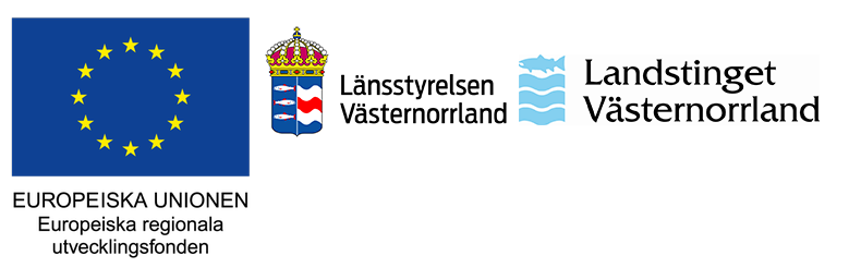 Medfinansiärer Dig.2020, EU regionala fonden, Länsstyrelsen Västernorrland, Landstinget Västernorrland